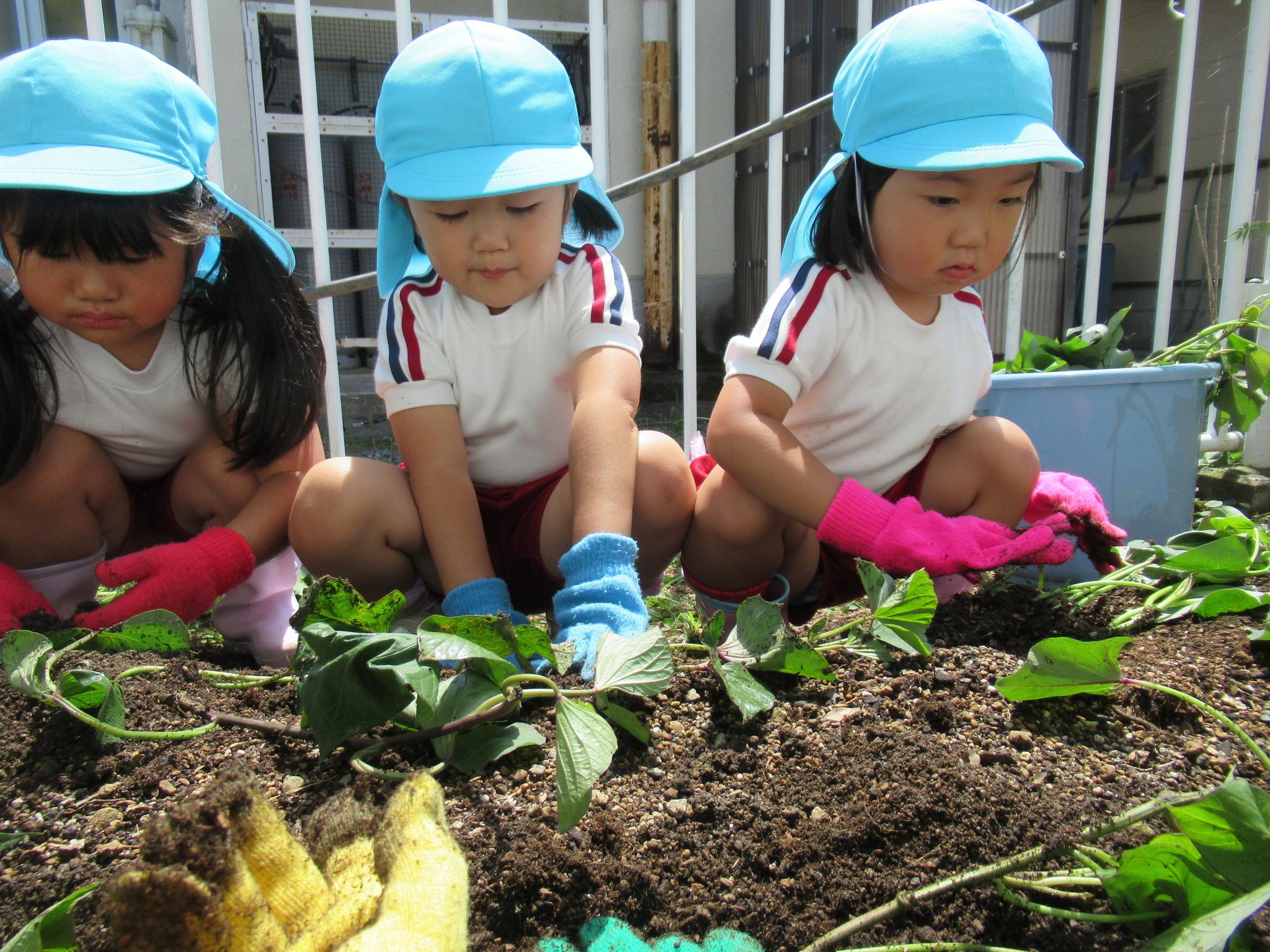 吉井幼稚園 安い うきは市 水筒